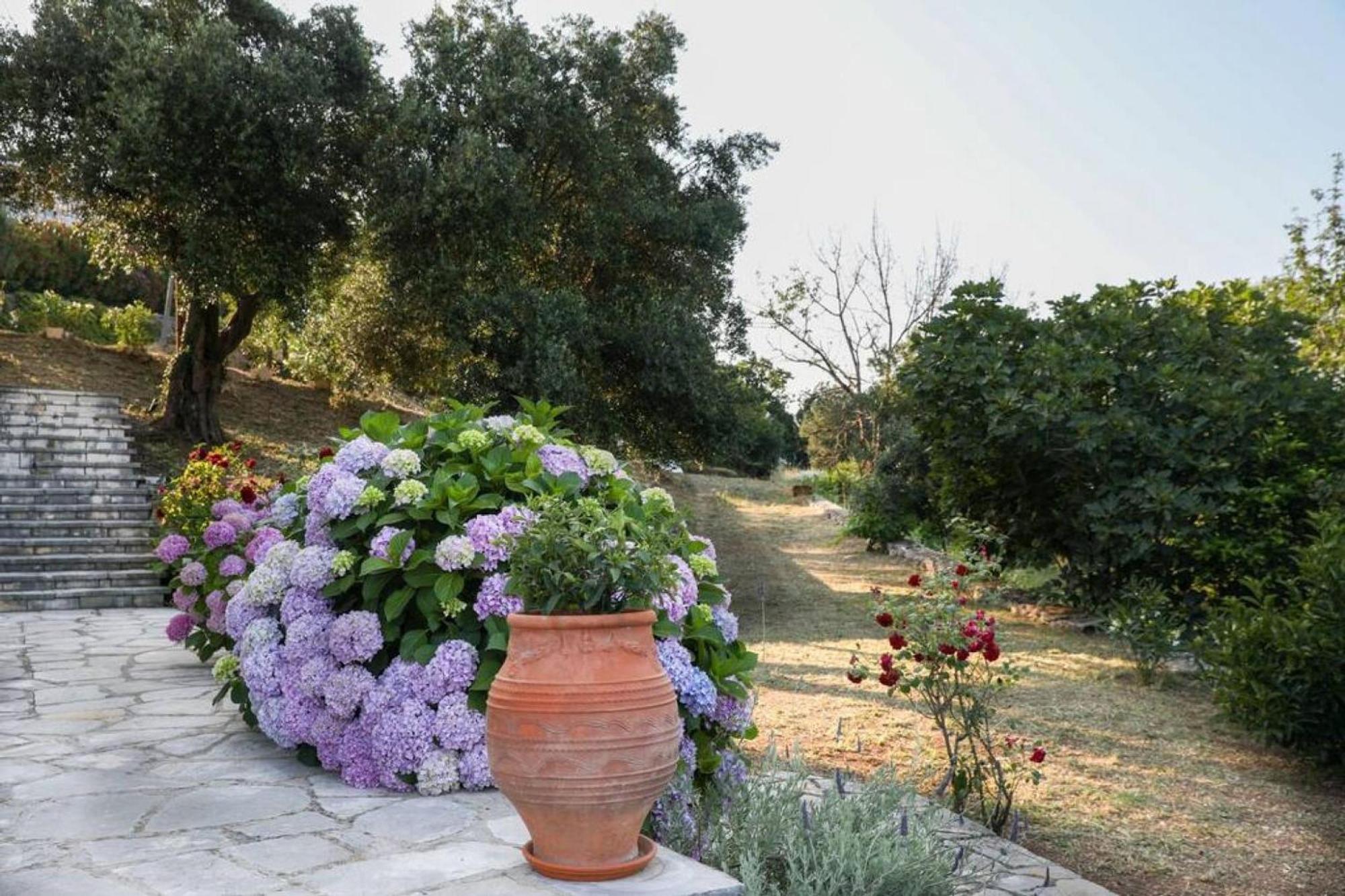 Sinies Stone Cottage - Ne Corfu Agnítsini Exterior foto